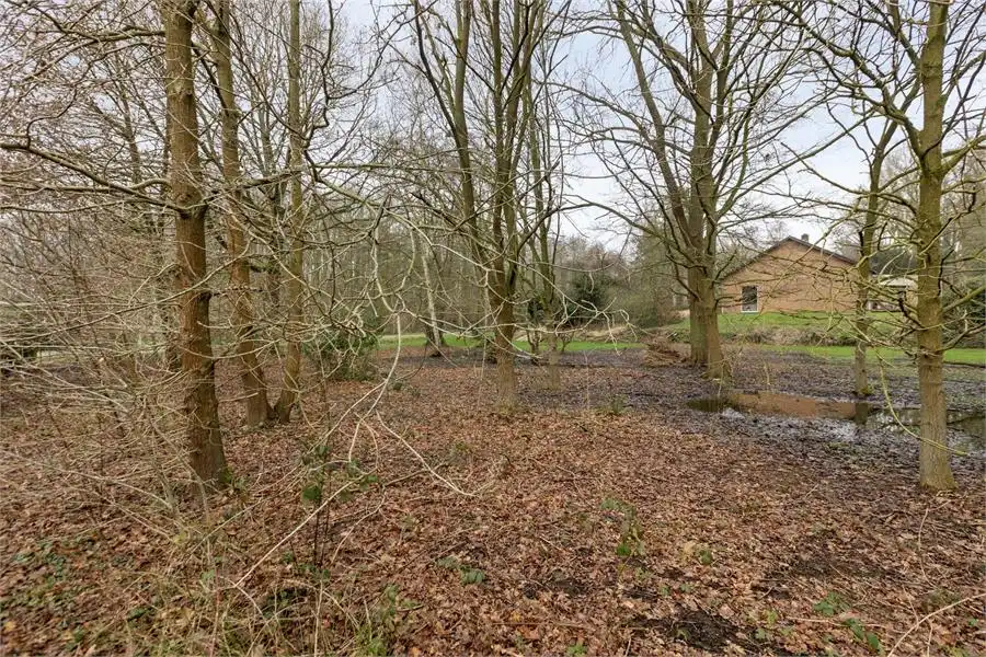 Bouwgrond te koop in Tessenderlo-Ham op perceel van 16a 76ca foto 11