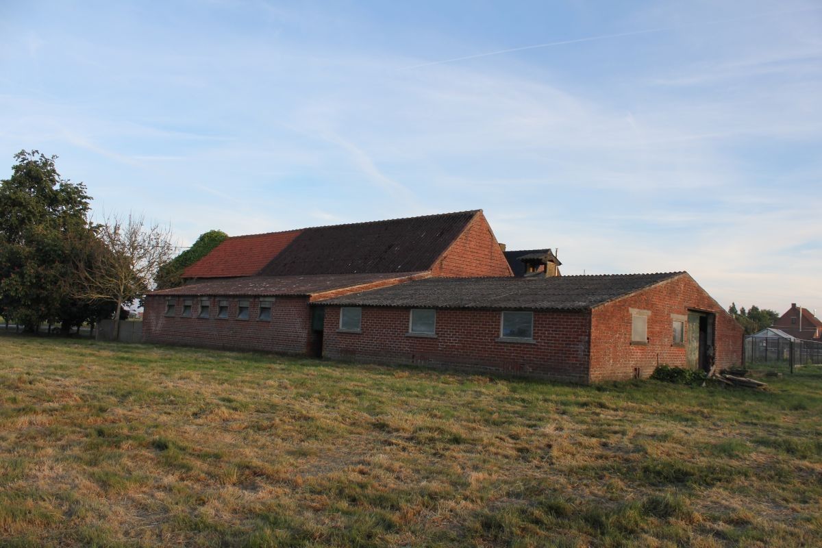 Hoevetje met residentiële woning en stallen te koop op 1 ha te Staden en Hooglede foto 8