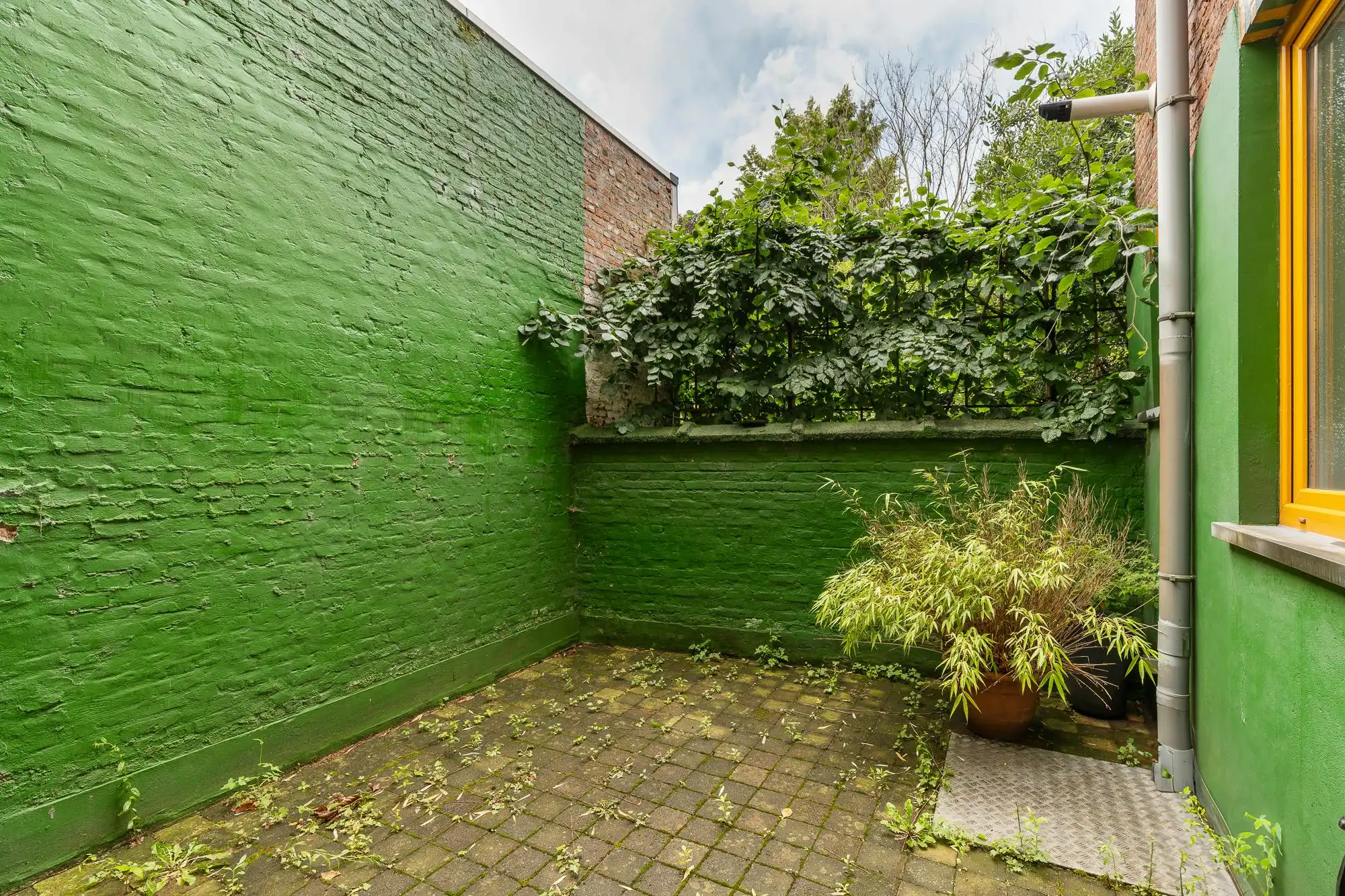 Authentiek opbrengsteigendom te koop in de Markgravewijk foto 17