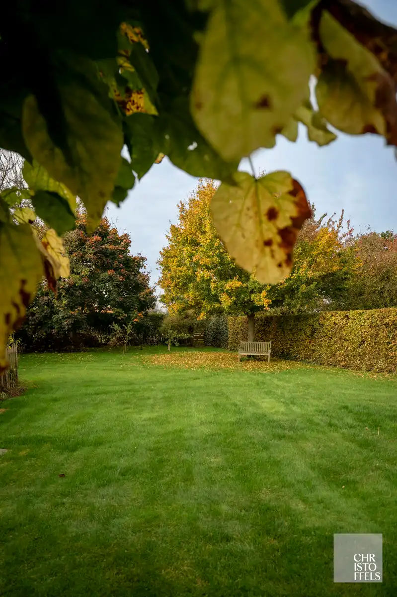 Uitzonderlijke villa van 320m2 gelegen in het pittoreske Leut, op een boogscheut van de Maas! foto 16