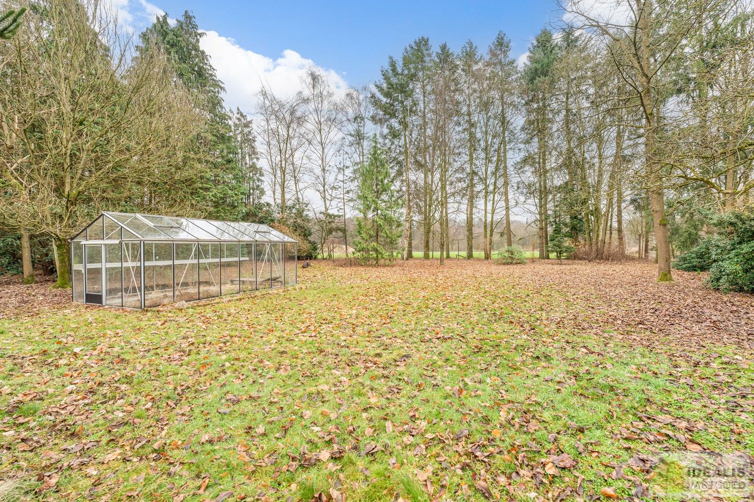 IDEALIS VASTGOED – Ruime te renoveren villa op riant perceel! De villa omvat 198m² netto bewoonbare oppervlakte met een ruime woonkamer en aansluitend uitgeruste keuken, badkamer, 2 grote en 1 kleine slaapkamer, kelder, veranda en 2 garages met sectionale poort van ca. 100m². De villa is gelegen op een prachtig perceel met een oppervlakte van ca. 1,1 hectare (11.000m²)! omgeven door bosgebied! Zeer geschikt voor kandidaten op zoek naar een unieke locatie zeer centraal gelegen, doch volledig omgeven door groen. foto 34