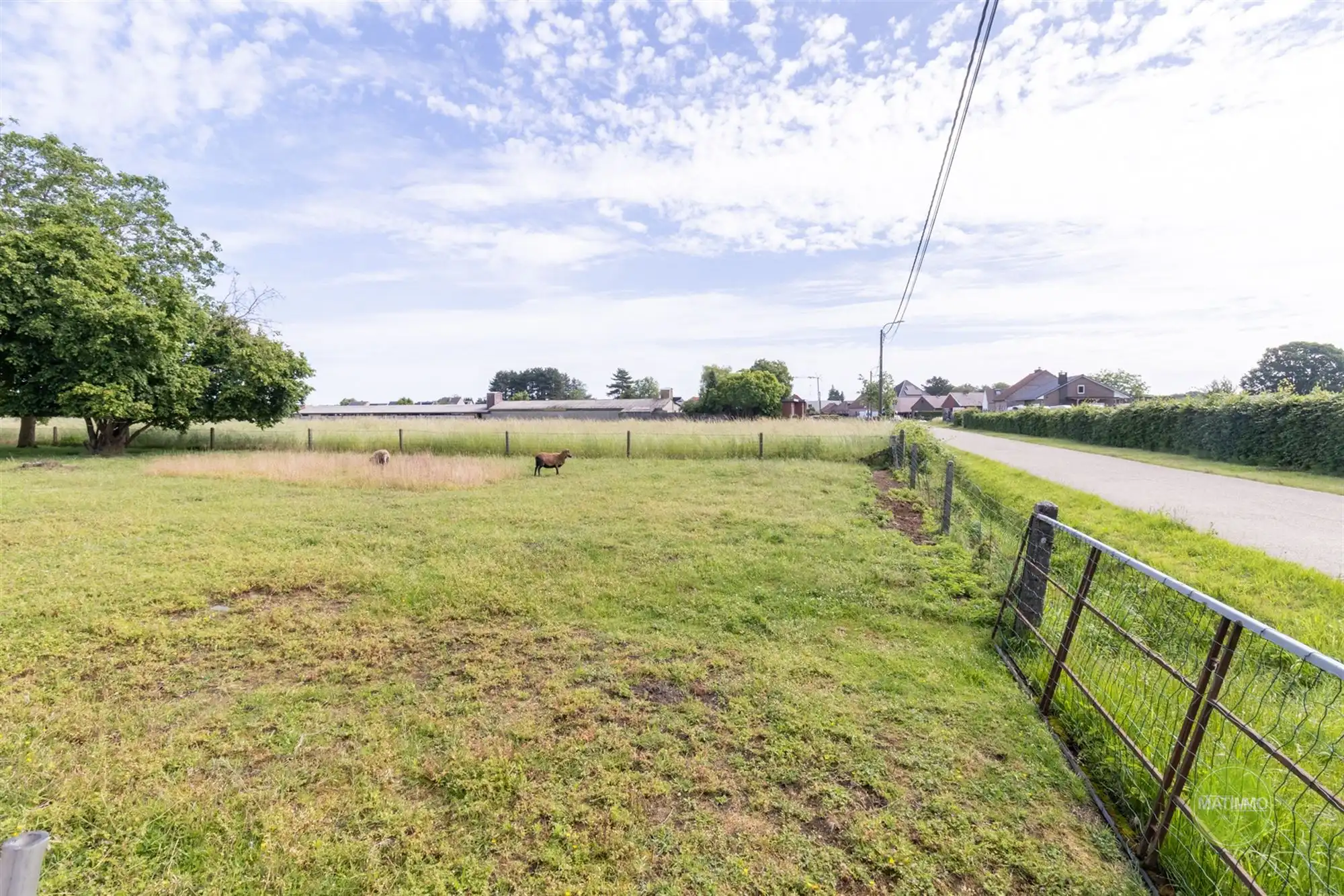 Bouwperceel van 1.615 m² op groene toplocatie in Westerlo foto 6