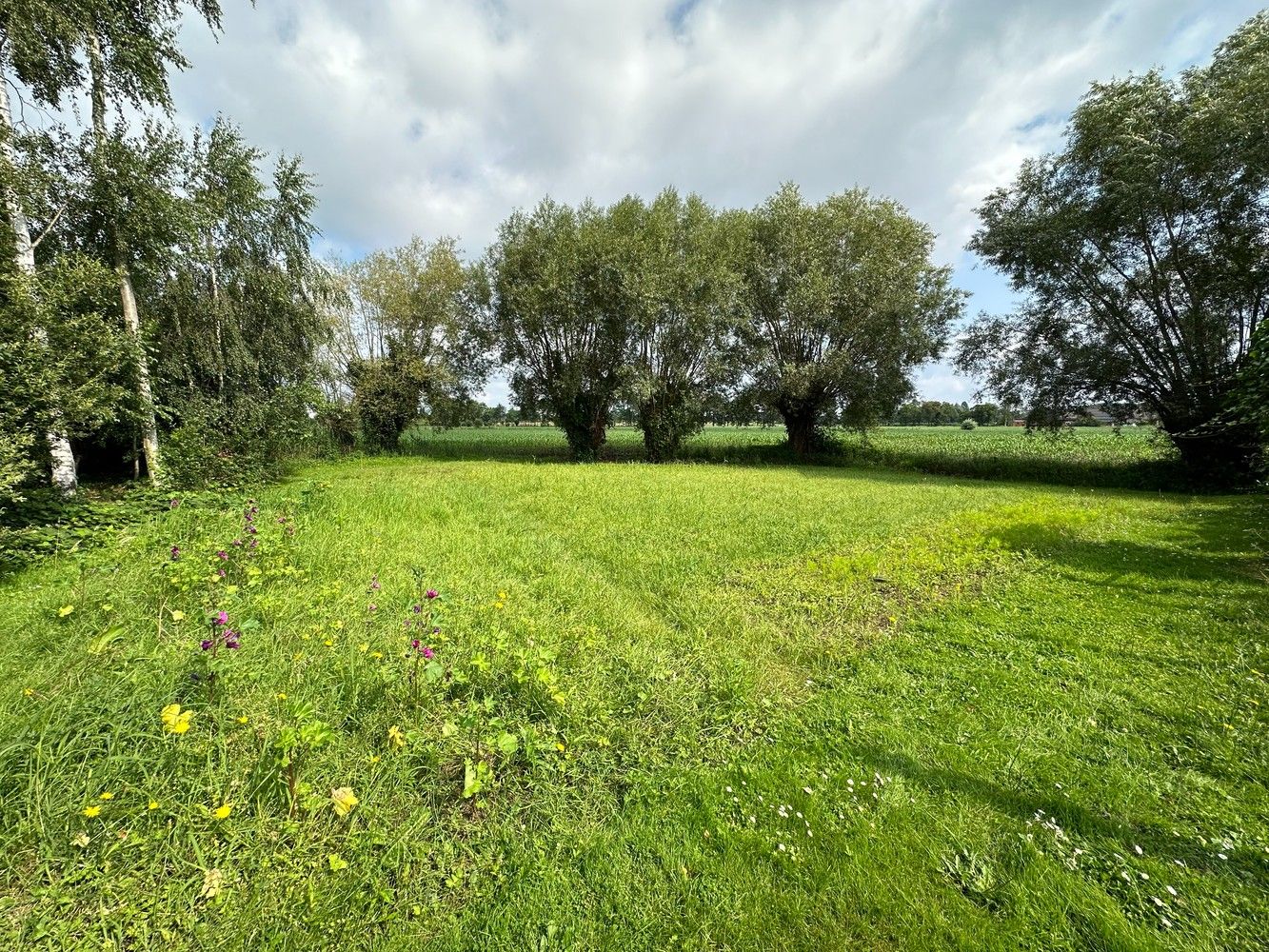 Bouwgrond voor open bebouwing. foto 1