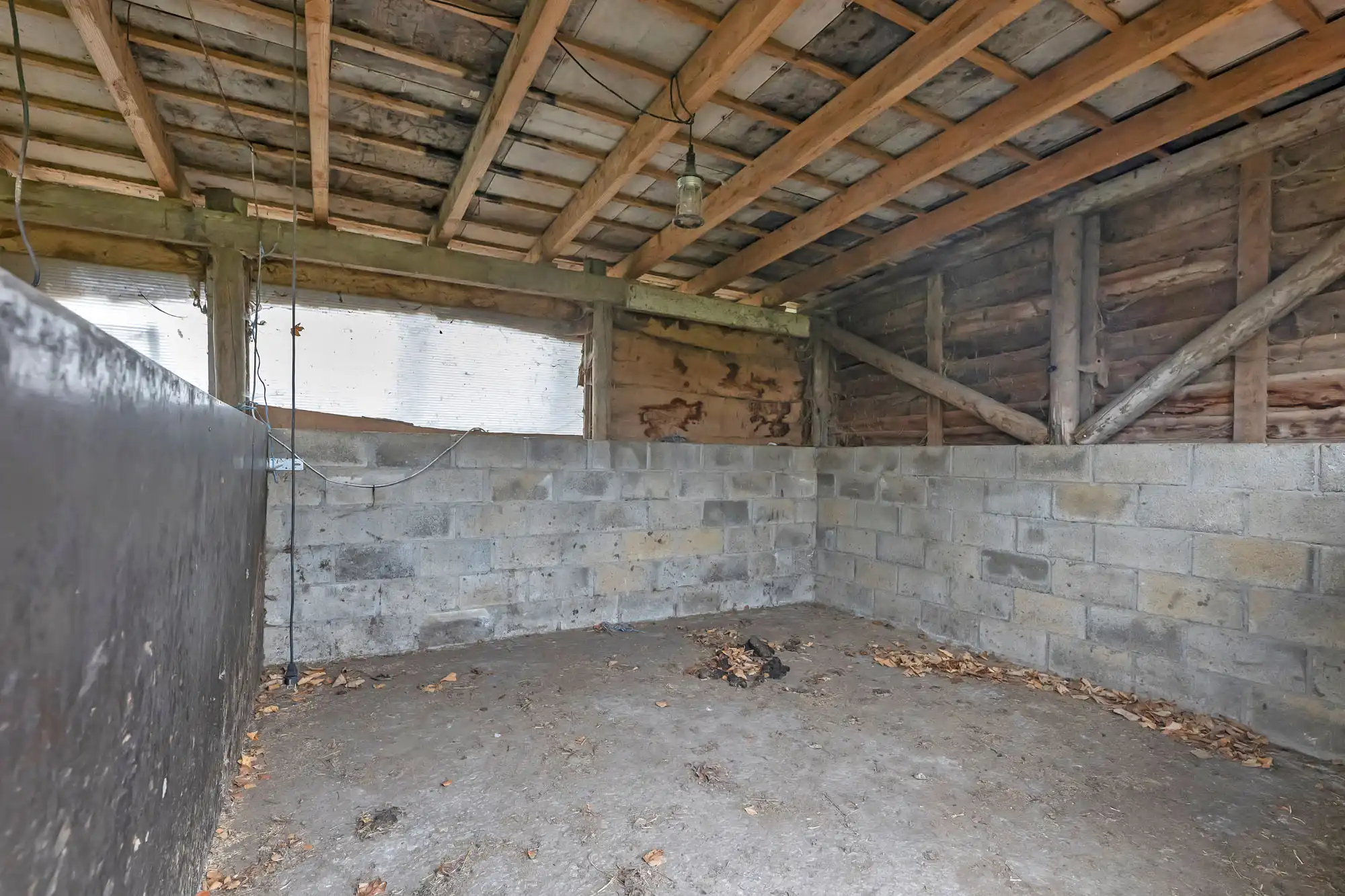 Weide met topligging op bijna 1,5ha foto 5