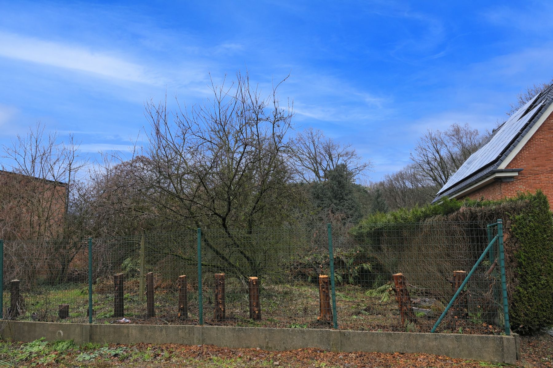 Bouwgrond voor halfopen bebouwing te Rotselaar. foto 5