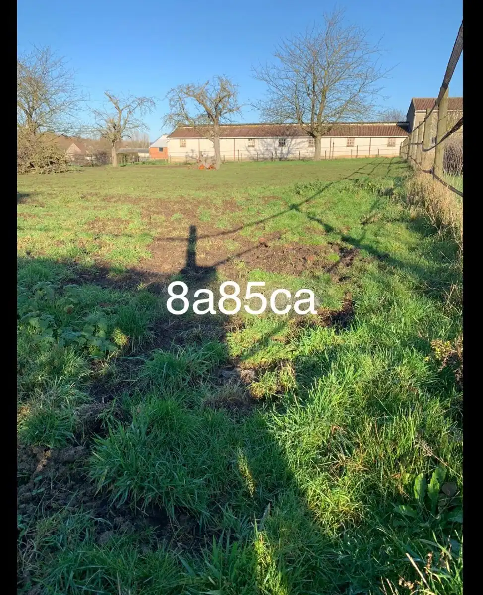 Grond te koop Widooierlinde 7/Lot 6 - 3700 Tongeren