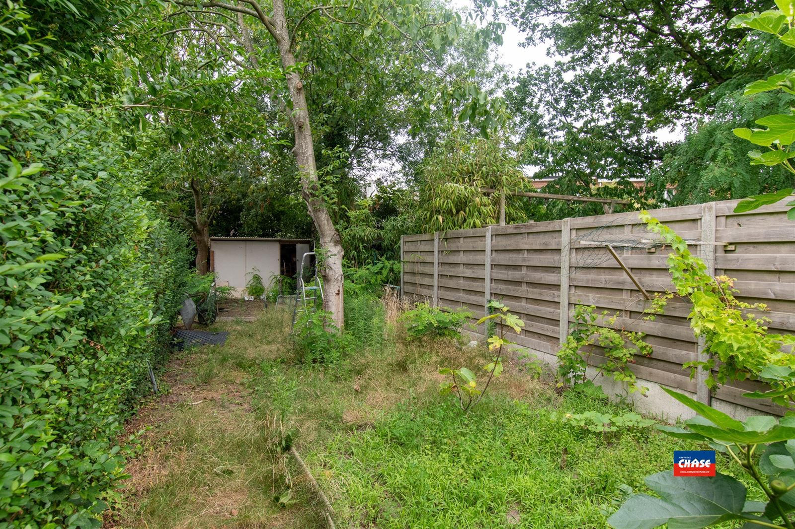 Gerenoveerde rijwoning met 4/5 slaapkamers en grote tuin foto 4
