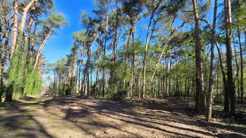 Residentieel gelegen bouwgrond van 15 are voor open bebouwing nabij golf- en meerdomein foto 2