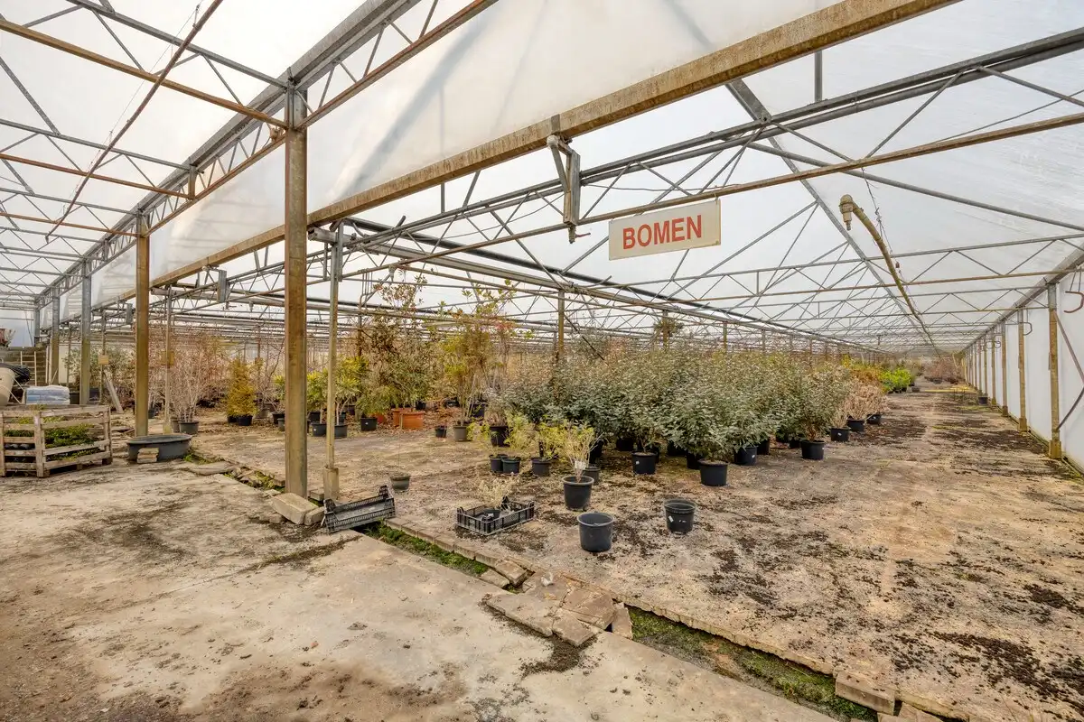 Tuinbouwcentrum met ruime woning op een perceel van 4,26 hectare foto 12