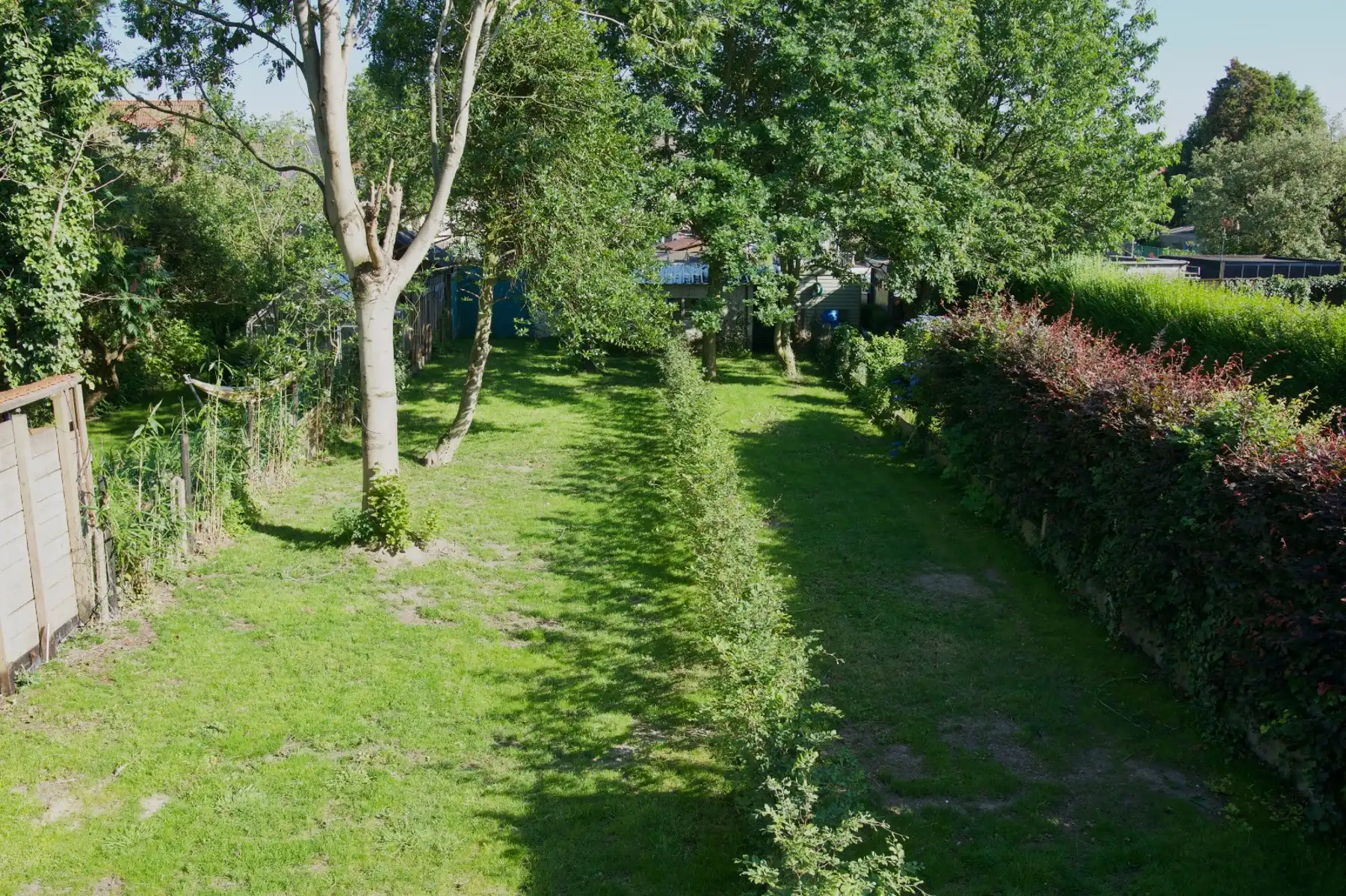 Groen geluk op het gelijkvloers foto 24