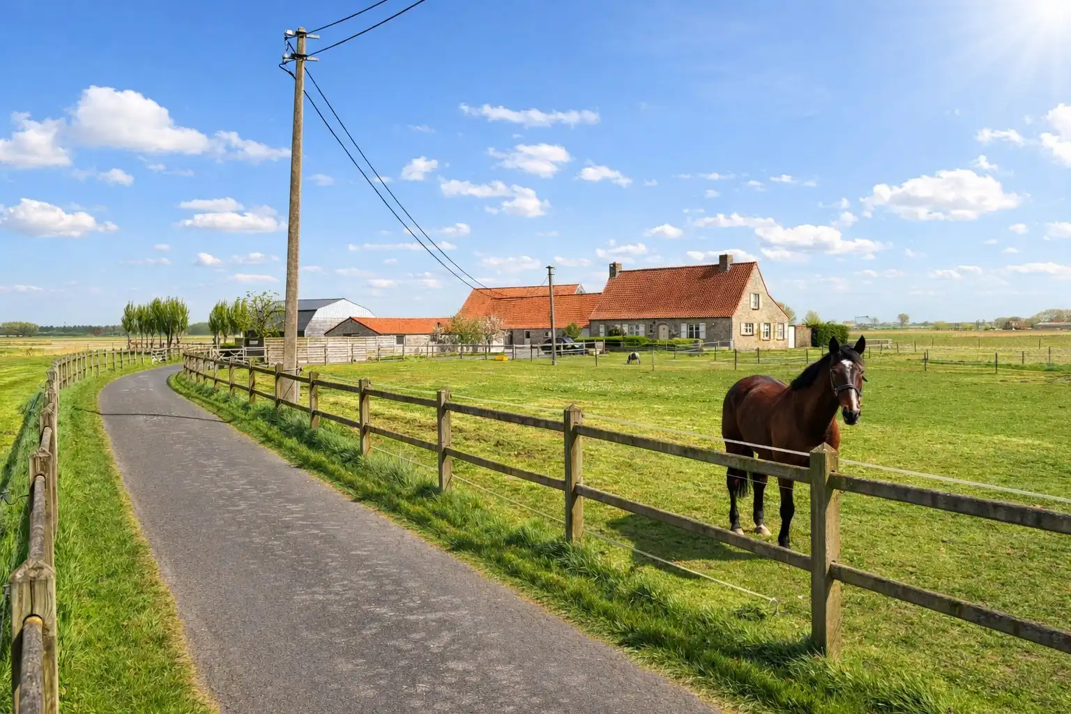 Idyllisch gelegen hoeve op bijna 5ha te Knokke-Heist foto 4