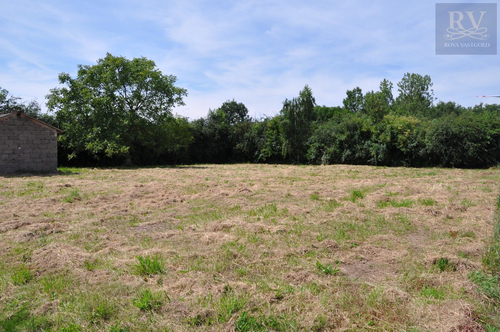 CENTRAAL GELEGEN WEIDE/LANDBOUWGROND VAN 10ARE IN BOORSEM foto 3