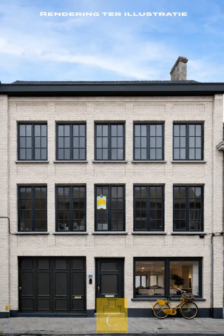 perfect gelegen pas gerenoveerde stadswoning - 340 m2 vloeroppervlakte - met garage, tuin en extra terras op het verdiep foto {{pictureIndex}}