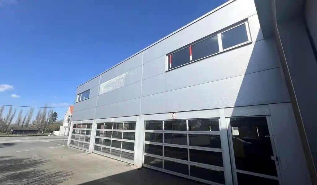 Commercieel gelegen magazijn met showroom te huur in Wetteren foto 17