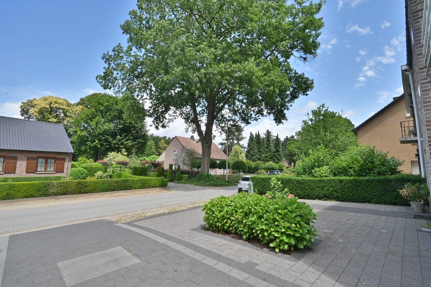 Halfvrijstaande woning met lift en zonnepanelen, zeer mooi gelegen aan de bosrand van Lanaken foto 2