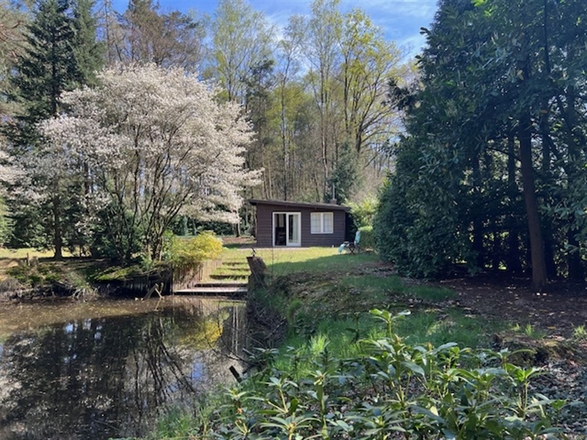 Charmante chalet met privatieve vijver op idyllisch perceel foto 49
