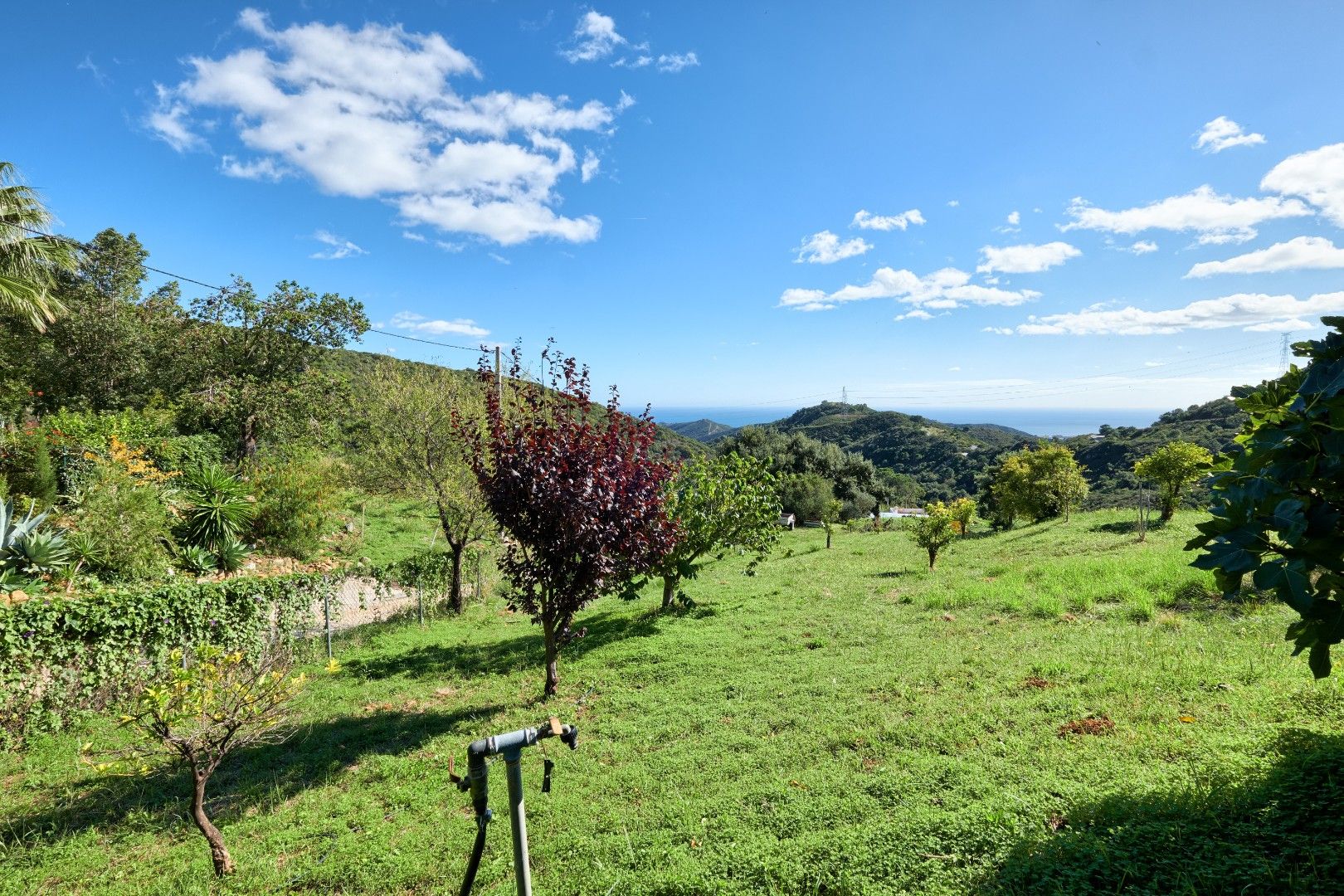 Finca dicht bij de Sierra Bermeja berg.  foto 38