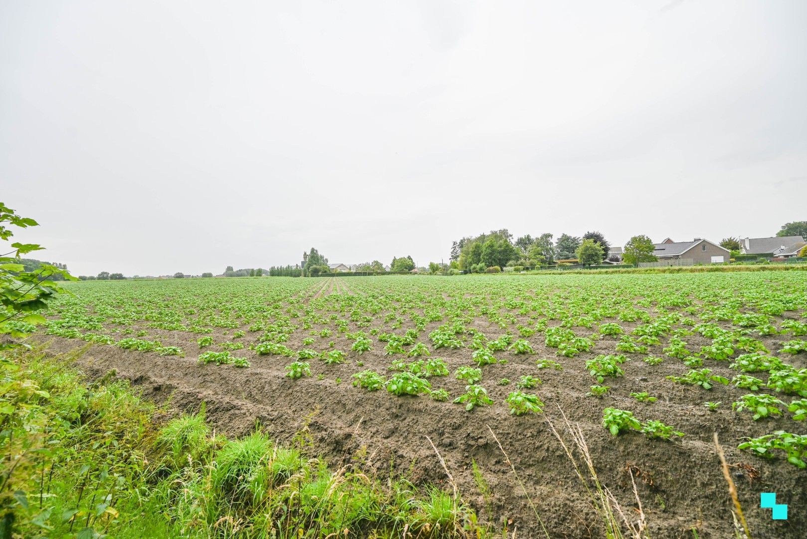 Interessante eigendom op landelijke ligging te Oostrozebeke foto 25