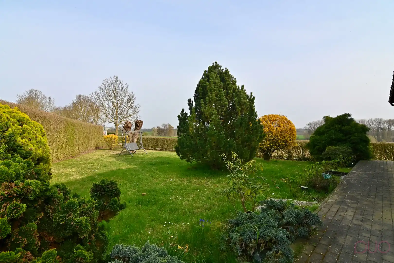 Gelijkvloerse woning gelegen in het midden van de Haspengouwse velden foto 18