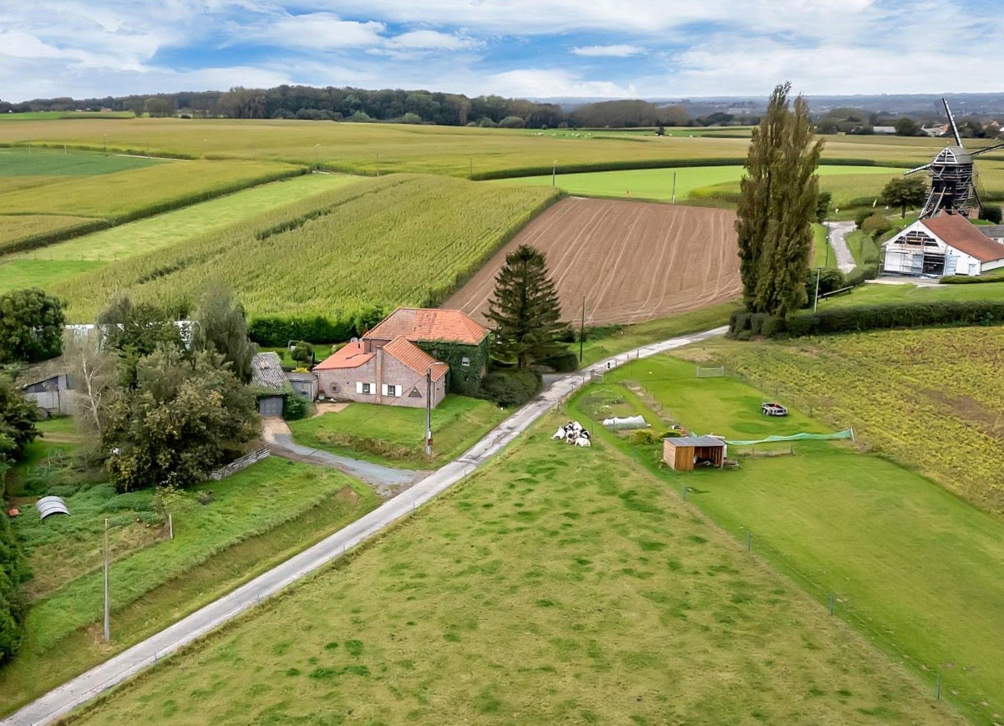 Prachtig landhuis met bijgebouwen op perceel van 28a 45ca foto 1