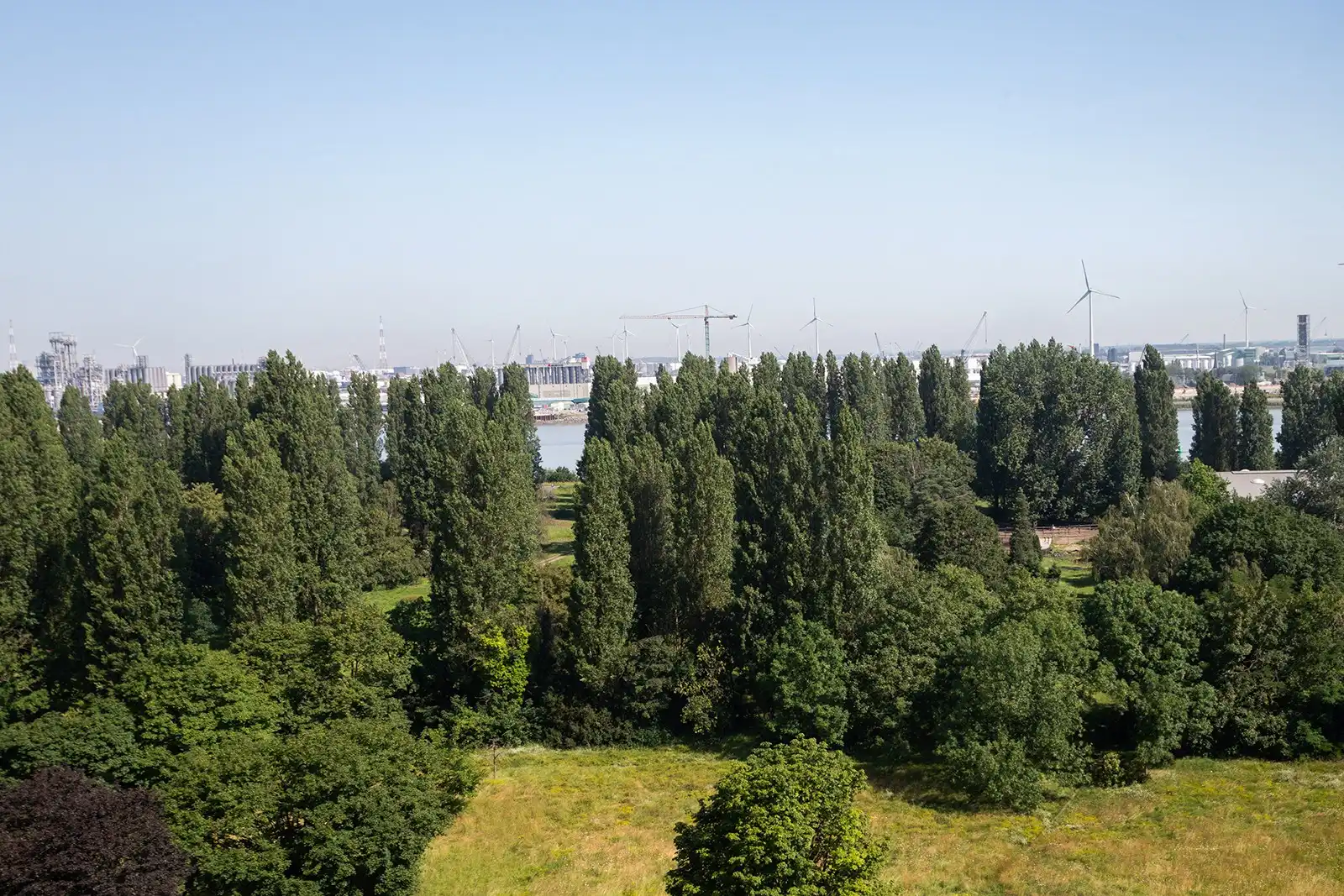 Appartement te huur foto 8