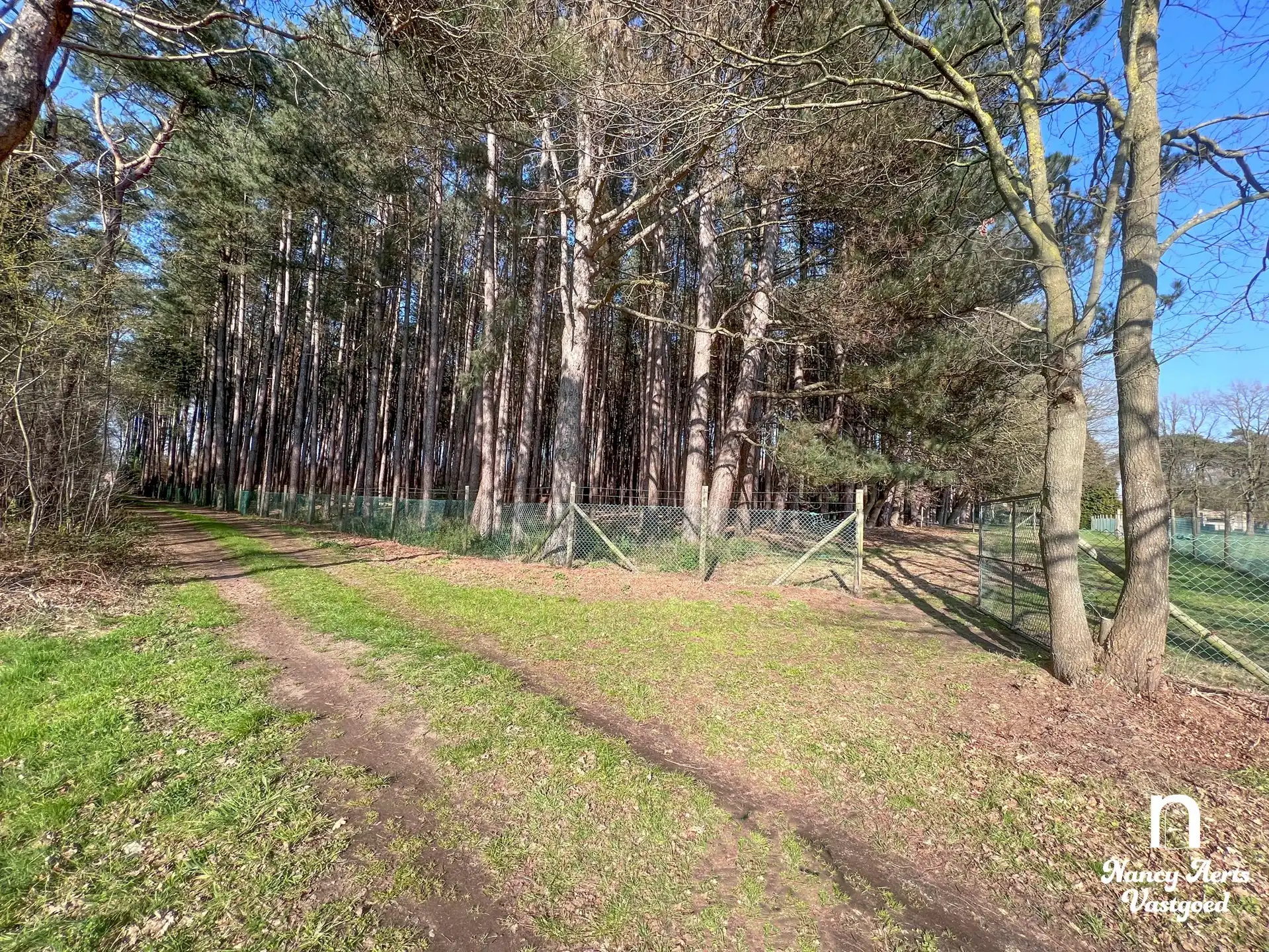 Ruime, luxueuze villa met overdekt zwembad en 1,8 ha natuur foto 66