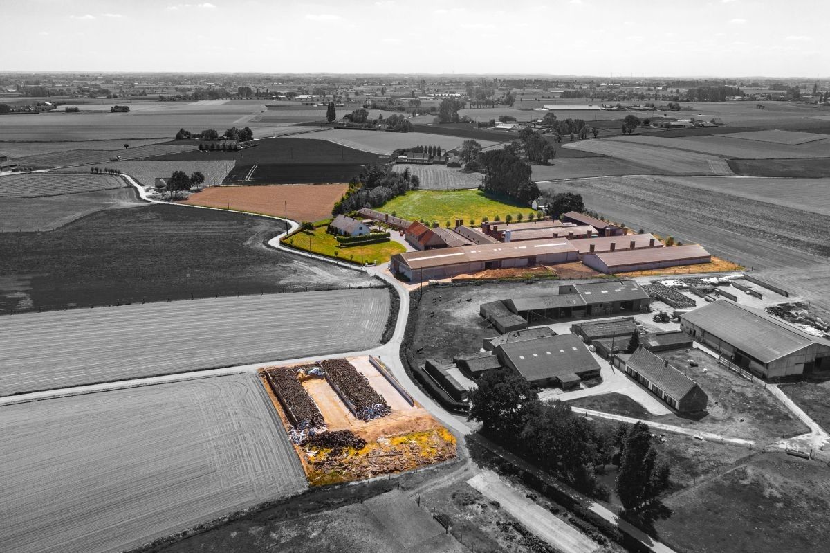 Rundvee- en varkensbedrijf te koop te Kanegem-Tielt foto 15