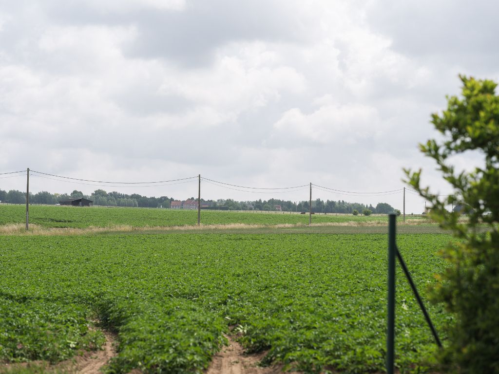 Dikkelvenne – Te renoveren hoeve op een terrein van 2.179 m², omgeven door groen en weides. foto 27