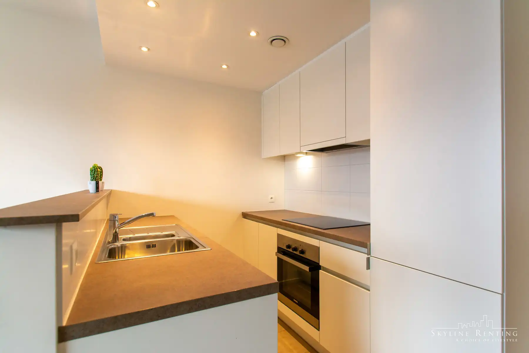 Prachtig appartement - 2 Kamers + TERRAS foto 9