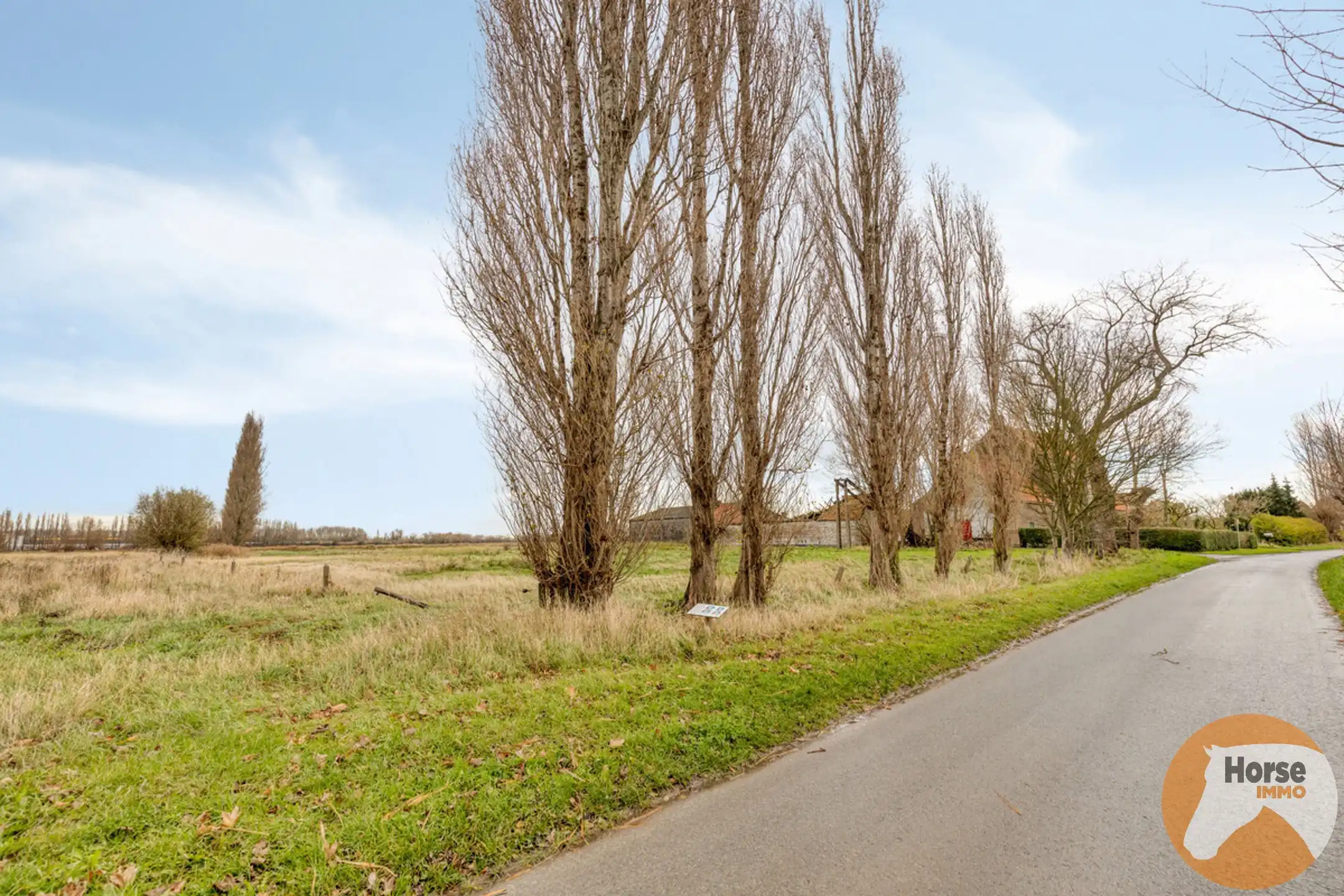 OUDENBURG - Hoevewoning op +- 3 ha foto 17