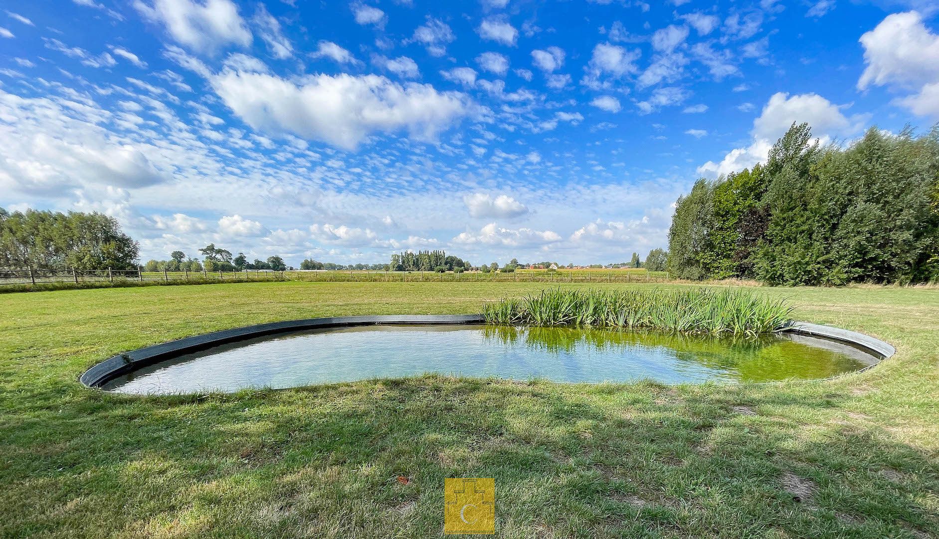 sfeervol landhuis met schuur, garage, zwemvijver en poolhouse, 3 paardenstallen, akkerland en weiland. Idyllische locatie te Torhout (Sint-Henricus), 2,55 ha foto 6