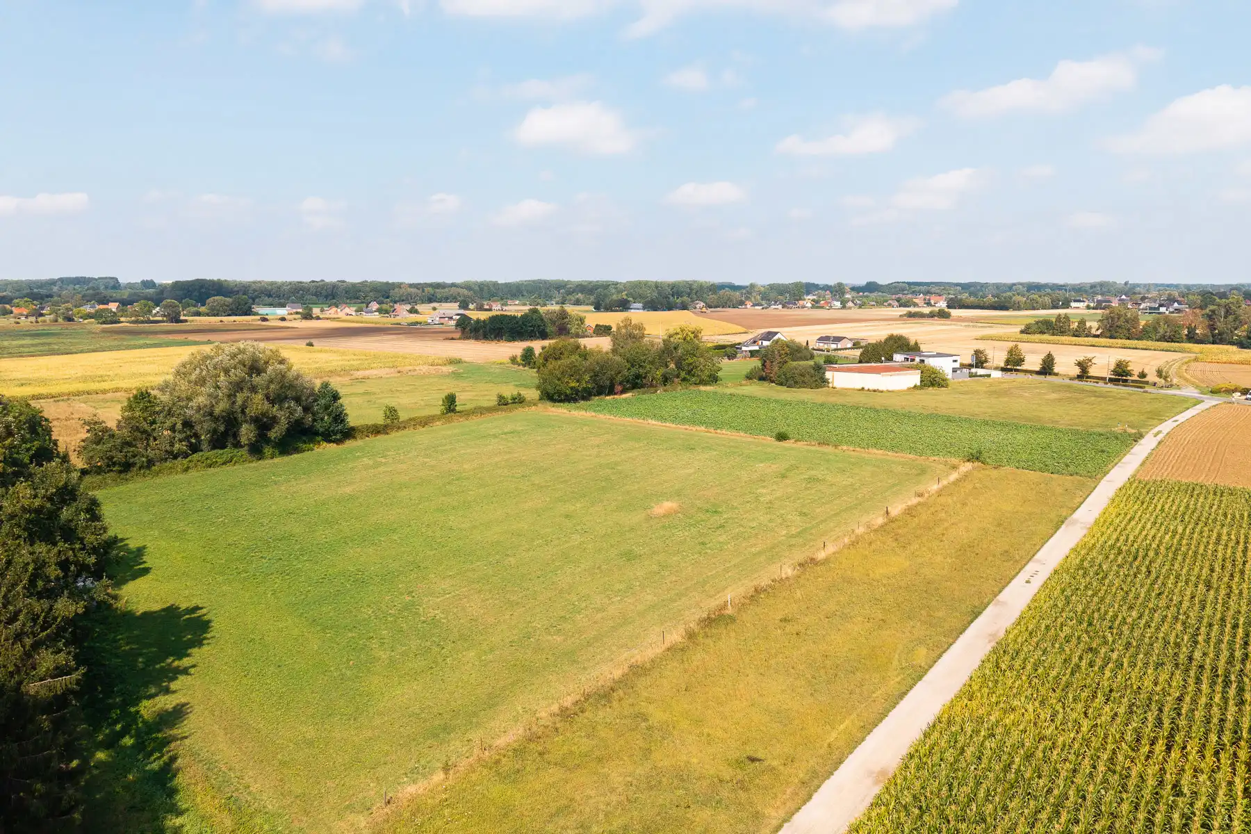 Ruim perceel landbouwgrond van 50are te Kampenhout foto {{pictureIndex}}