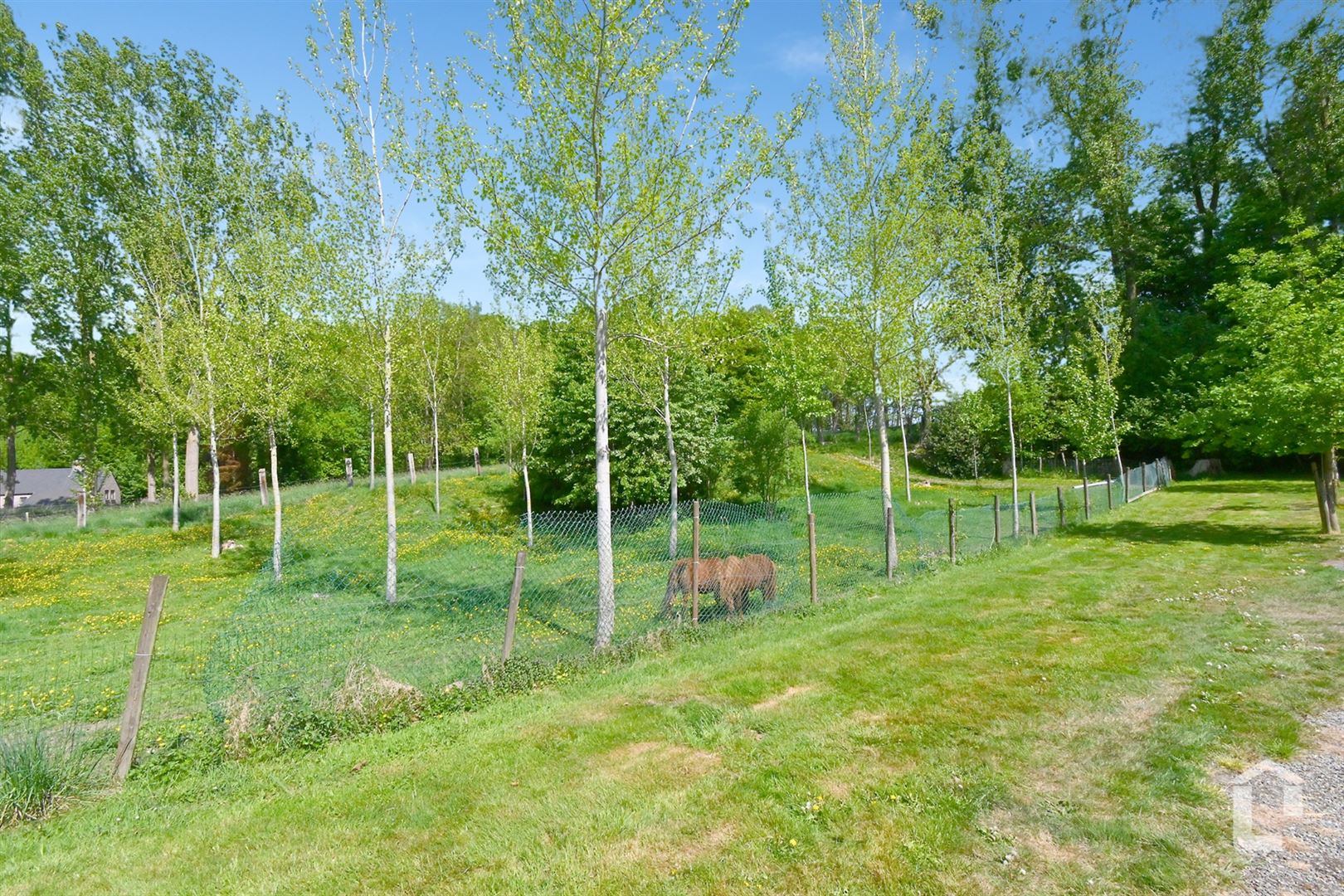Handelspand met feestzaal op prachtig terrein met bos foto 17
