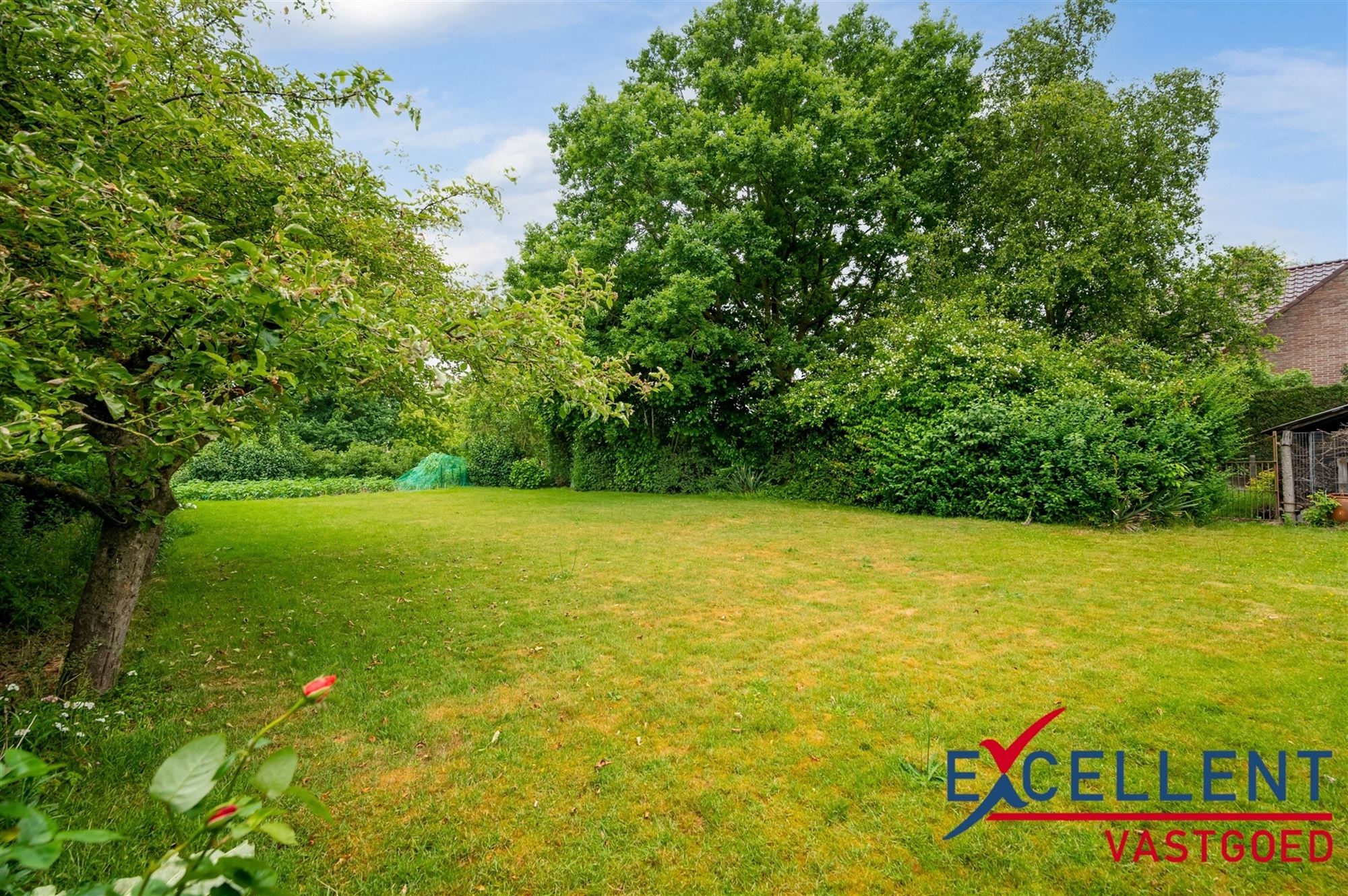 Te renoveren woning met prachtige tuin te koop foto 4