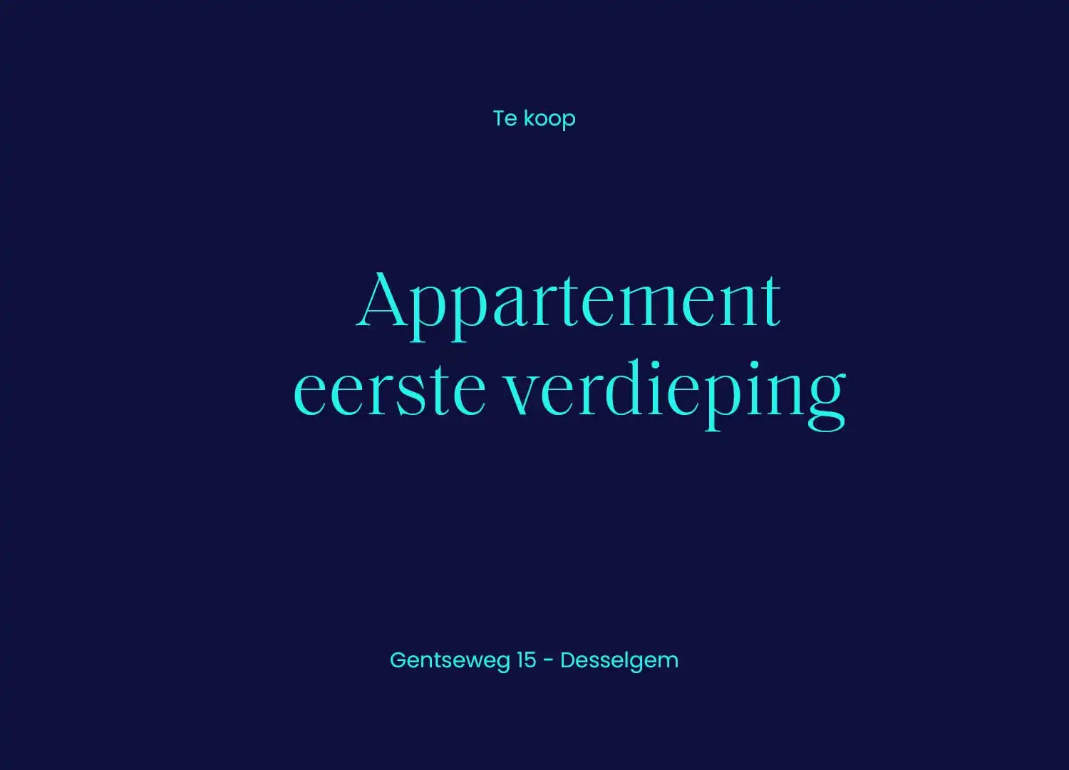 Opbrengsteigendom nabij centrum van Desselgem foto 2