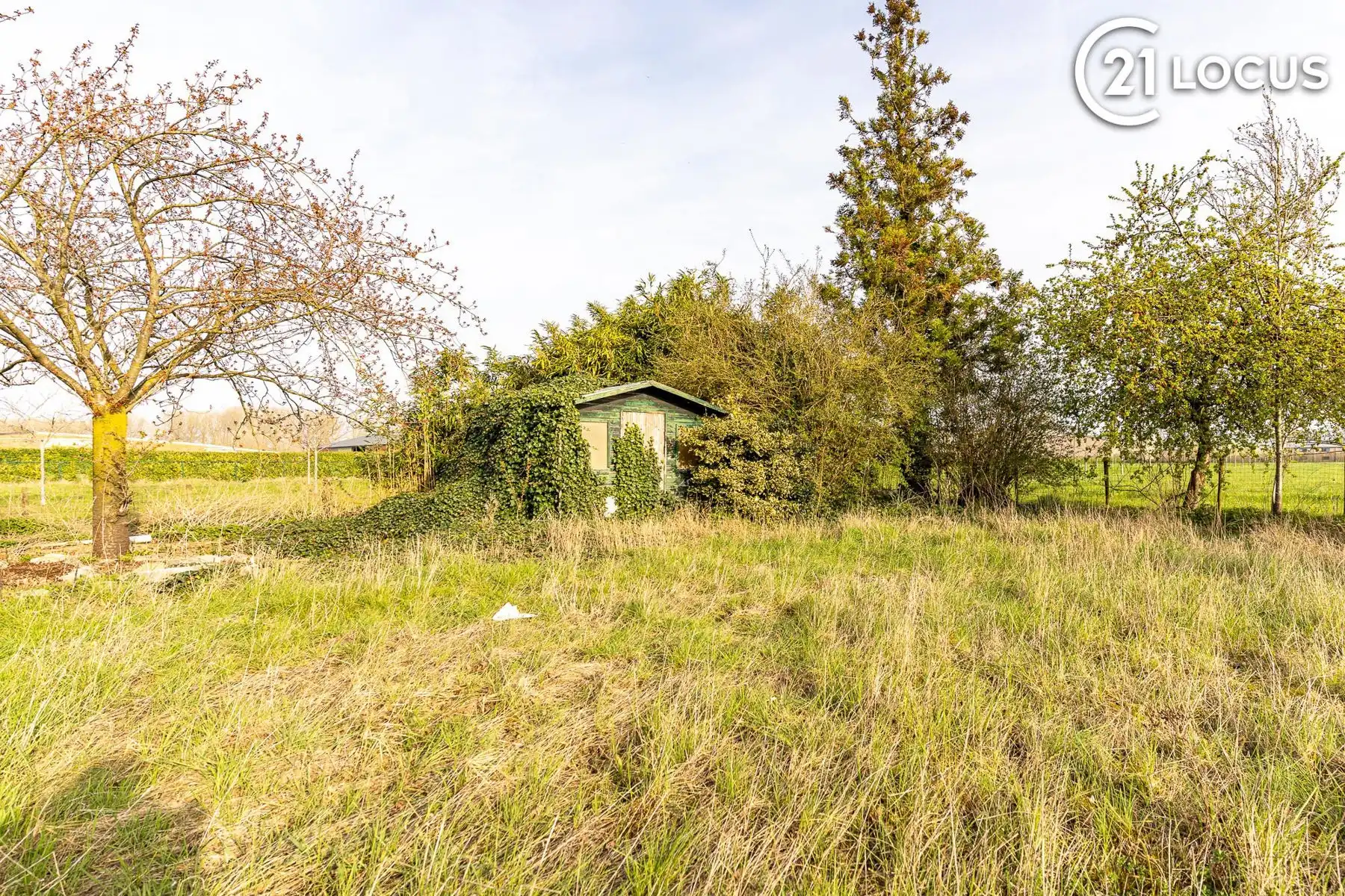 Renovatie- of heropbouwproject op 550 m² in Verrebroek foto 2