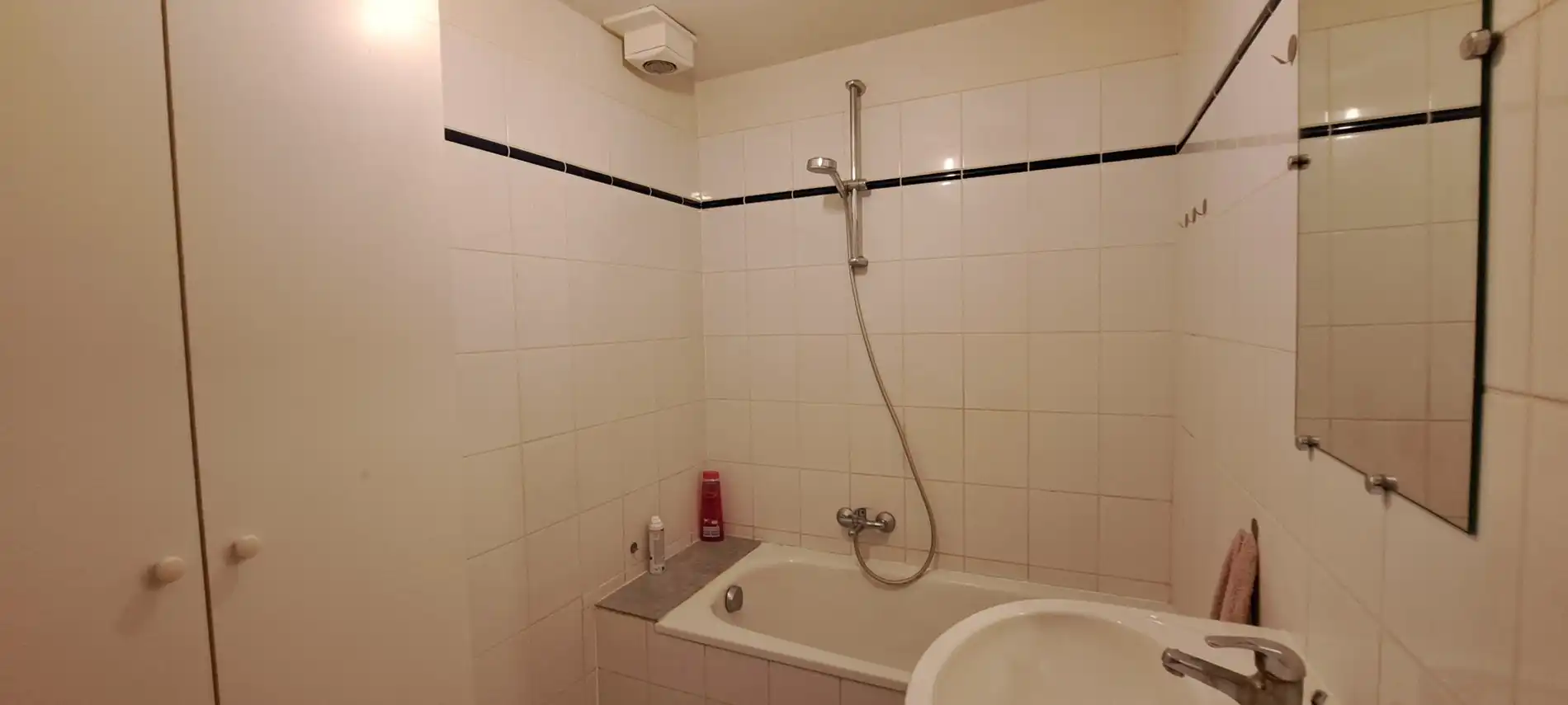 Duplex-dakappartement met 1 slaapkamer en mezzanine foto 8