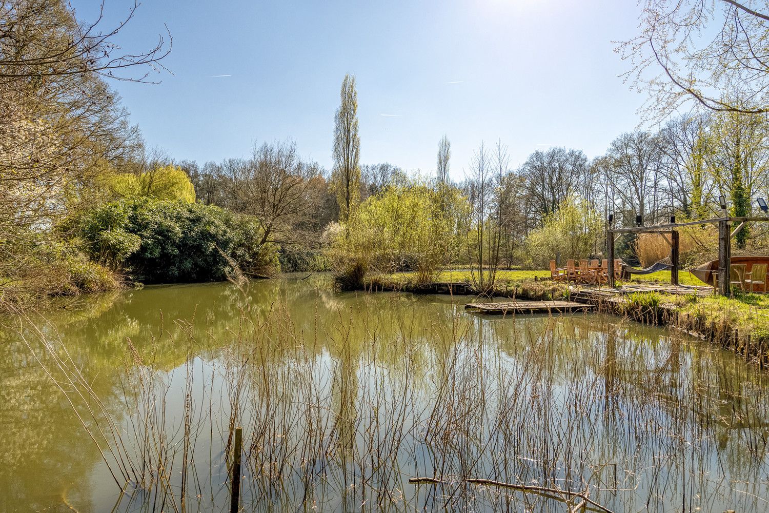 Villa op een uniek perceel van 1 hectare met vijver en zwembad foto 3