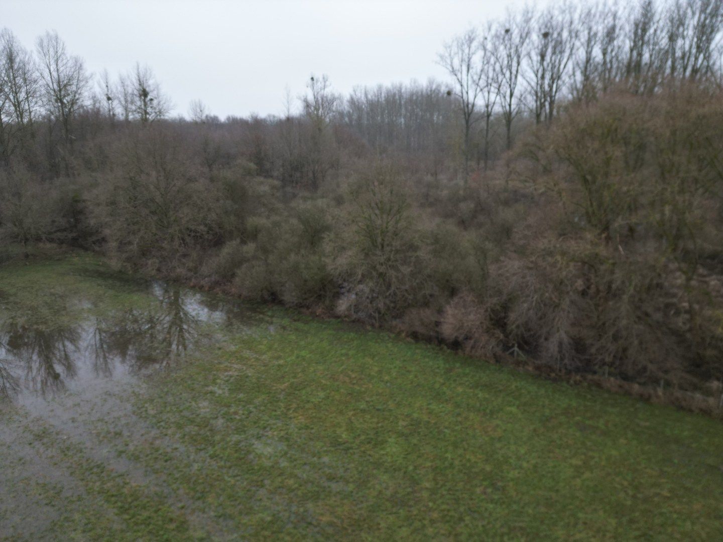Twee percelen bosgrond in natuurgebied. foto 7
