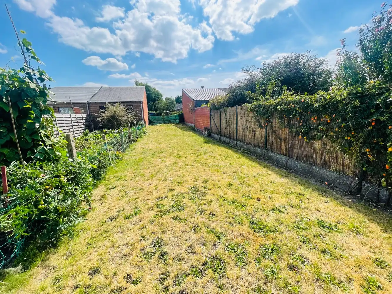 Assebroek, RUIME LICHTRIJKE INSTAPKLARE WONING met GROTE TUIN met  UITWEG+ OPRIT , mogelijkheid garage te bouwen,3 SLAAPKAMERS, Badkamer en douchekamer. foto 19