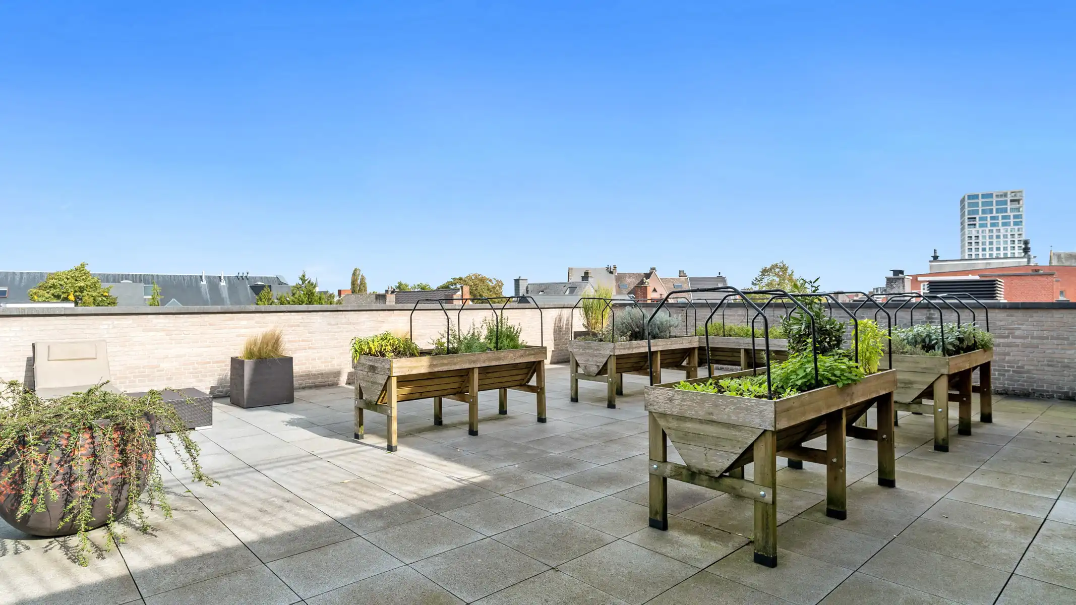 Prachtig, ruim nieuwbouwappartement / assistentiewoning   foto 10