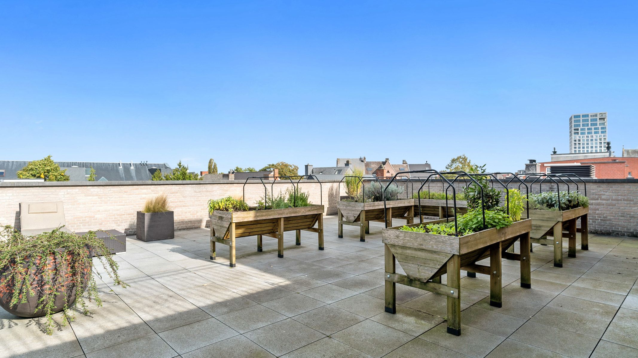 Prachtig, ruim nieuwbouwappartement / assistentiewoning   foto 10