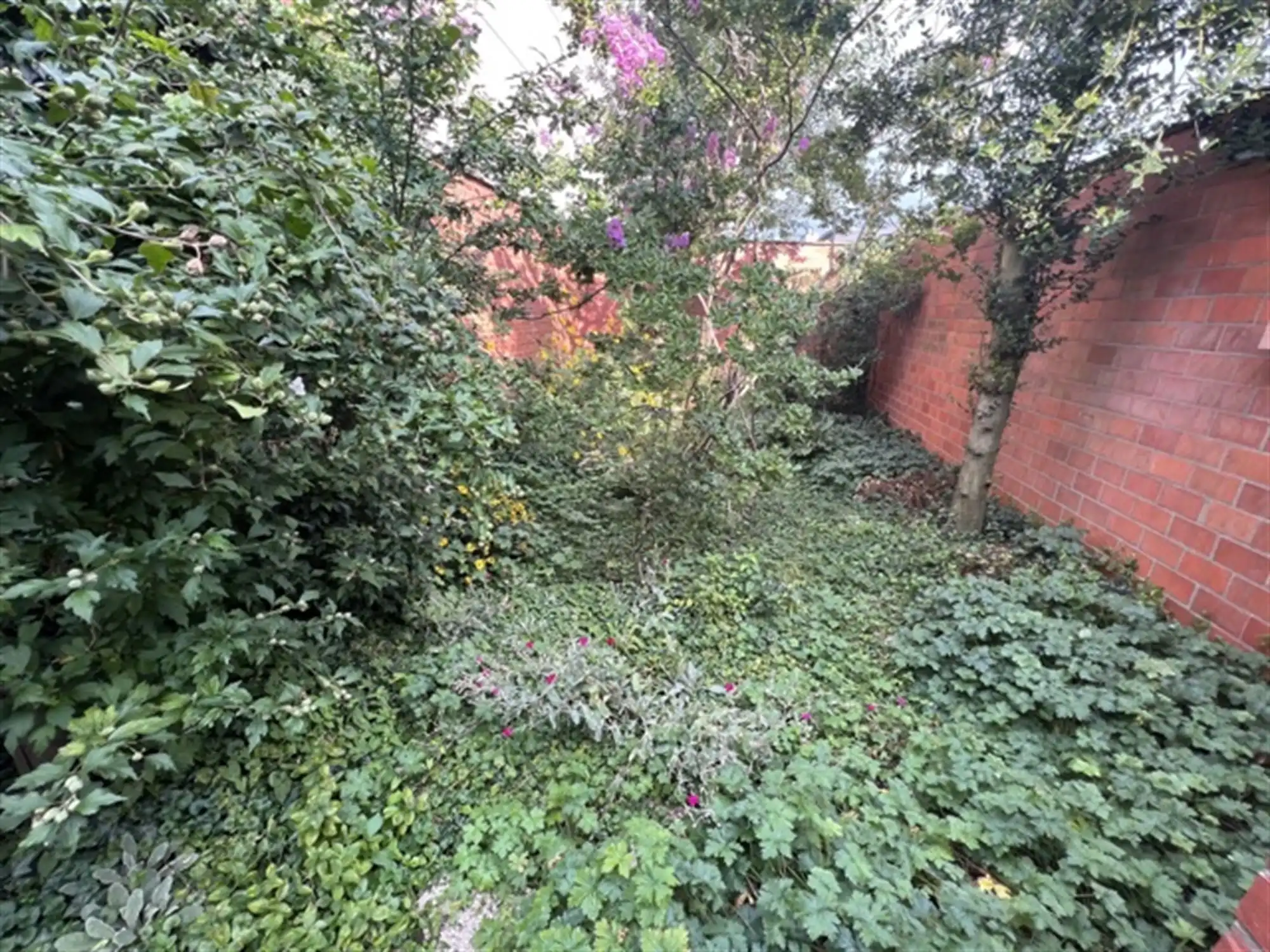 Opbrengsteigendom met 4 appartementen en tuin foto 19