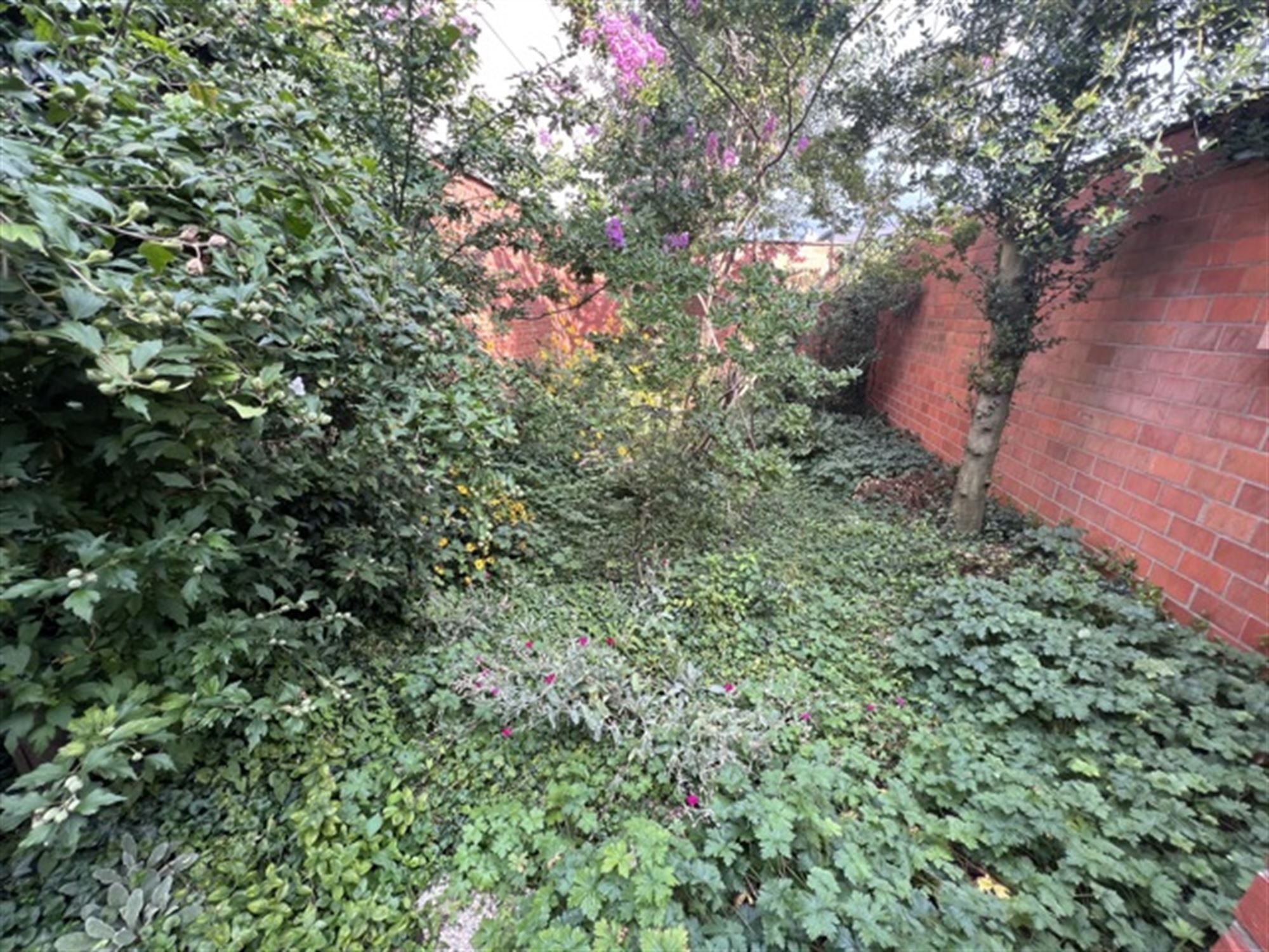 Opbrengsteigendom met 4 appartementen en tuin foto 19