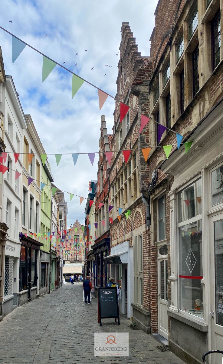 Gerenoveerd handelspand vlakbij Vrijdagsmarkt foto 24