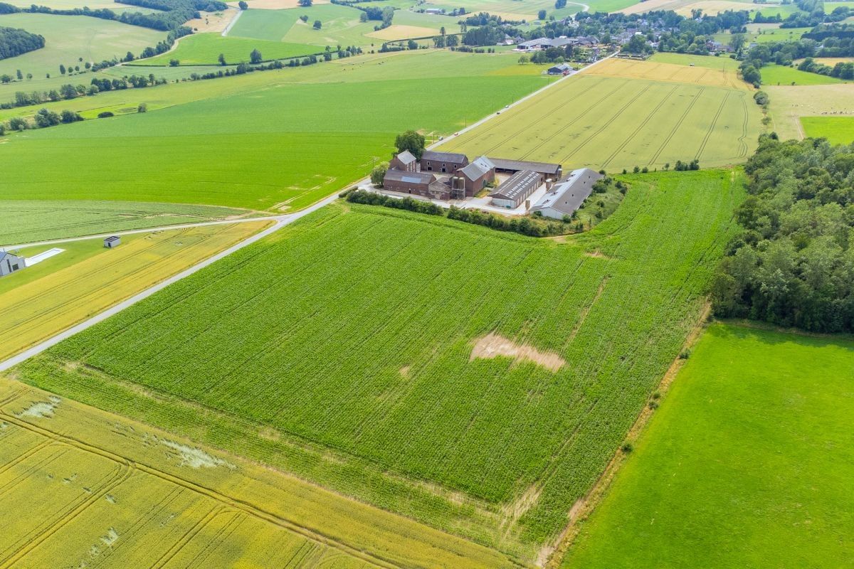 Vierkantshoeve met veestallen op 12,97 ha te koop te Ohey Perwez-Haillot (Condroz) foto 10