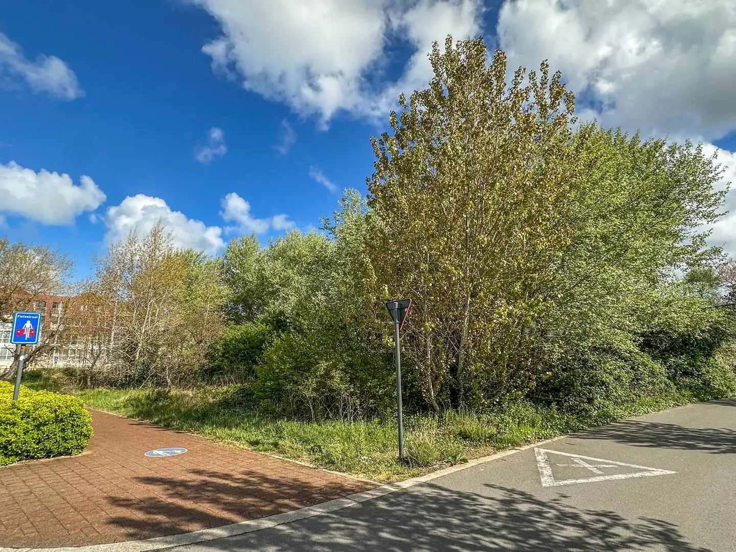 Uitzonderlijke bouwgrond (1.304m²) op een steenworp van zee (Groendijk). foto 7