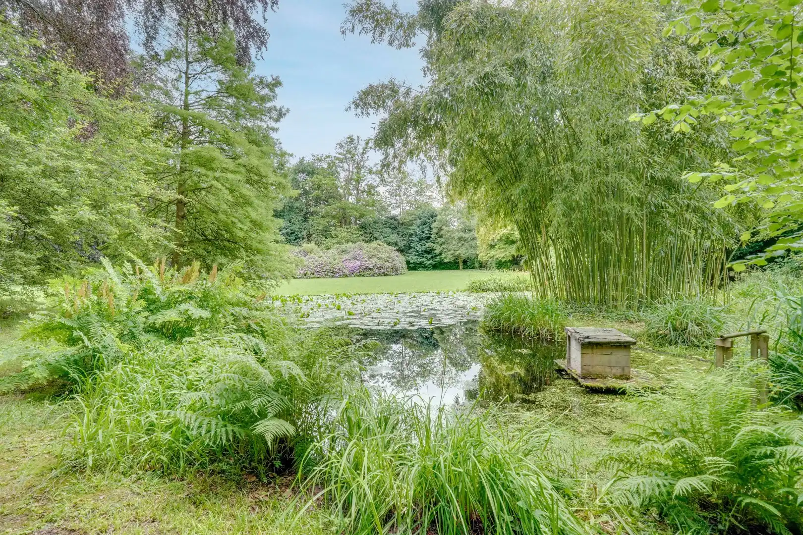 HISTORISCH HERENHUIS MET PARKTUIN OP 1HA 21A 94CA IN HET HART VAN OUD-REKEM ! foto 29
