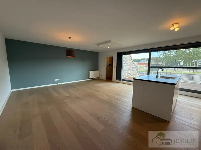 Tiptop verzorgd 2 slpk appartement met groot terras foto 2