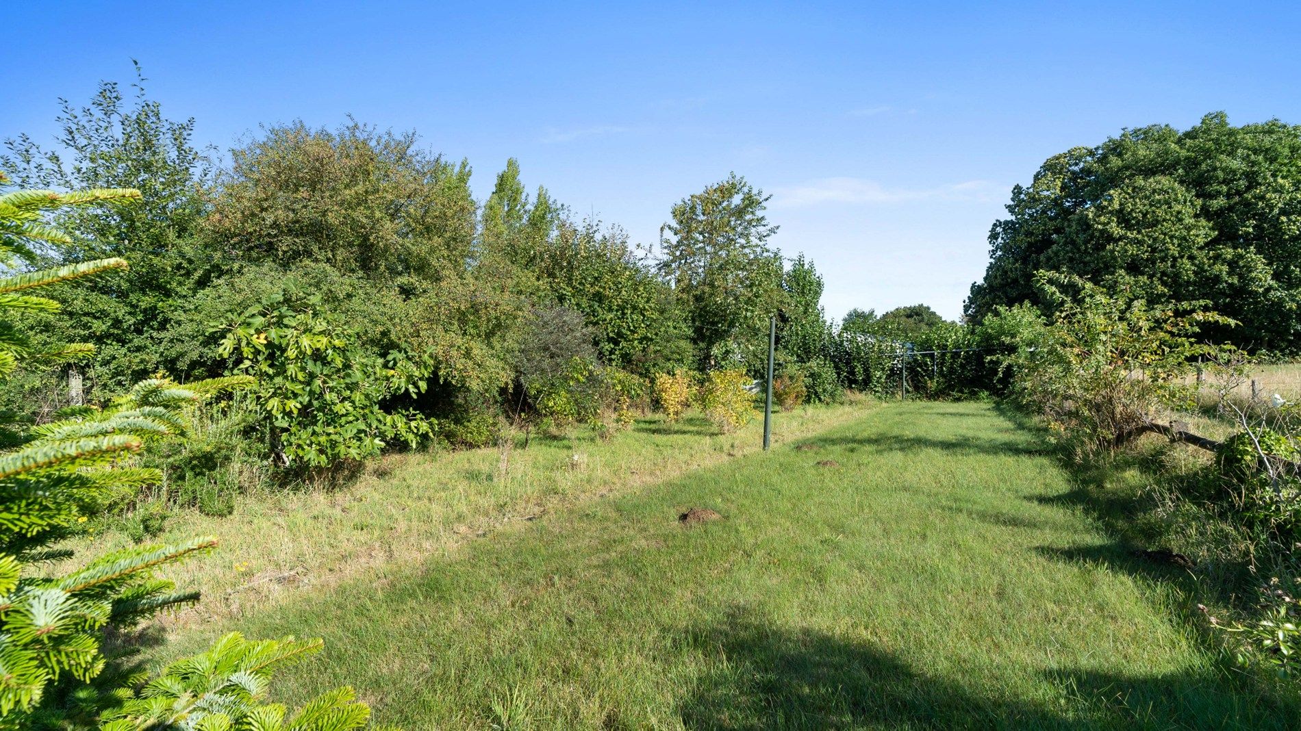 KESSEL-LO - unieke woning op 4409 m² foto 29